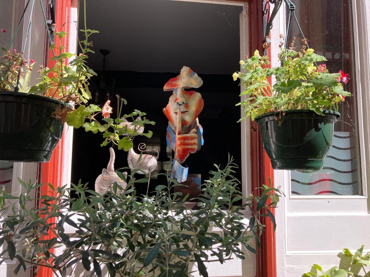 Les Orchidees Bed & Breakfast Salies-de-Béarn Dış mekan fotoğraf